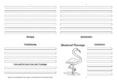 Flamingo-Faltbuch-vierseitig.pdf